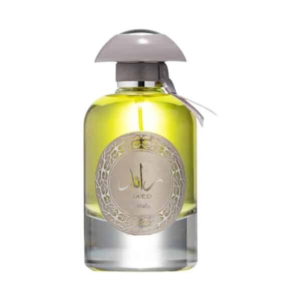 Spray Raed Silver 100 Ml