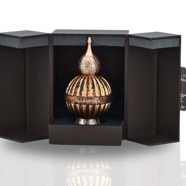 Unisex Niche Emarati Antique EDP Spray 3.4 Fragrances